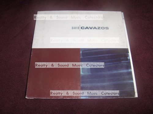 David Cavazos Sampler Cd 4 Tracks Bruja Hada De Coleccion (Usado)