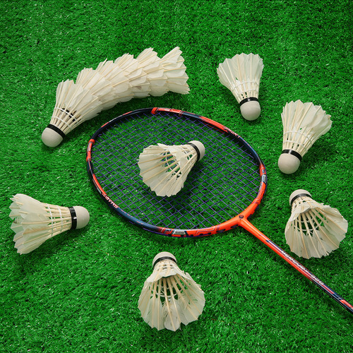 Juego De 12 Calcetines De Plumas Con Tubo De Almacenamiento