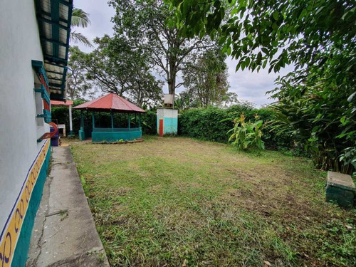 Imagen 5 de 19 de Venta De Casa Lote En La Venta Cajibío