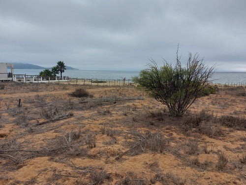 Terreno En Venta En Primera LĂnea De Playa