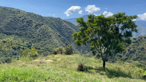 Finca Lote Barata En Venta Precio Oportunidad