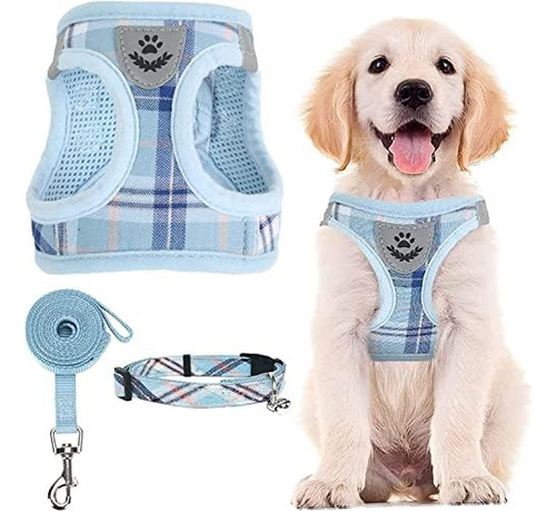 Adjustable Dog Harness Collar And Leash Set Step In No ...