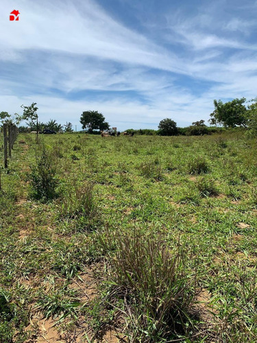 Imagem 7 de 9 de Chacara - Zona Rural - Ref: 1419 - V-1419