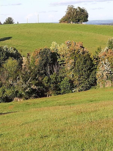 Imagen 9 de 19 de Sitio En Venta En Los Muermos