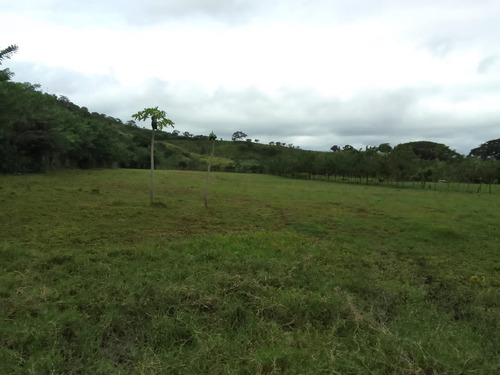 Se Vende Granja En El Estado Carabobo Ve02-1321carab-mtru