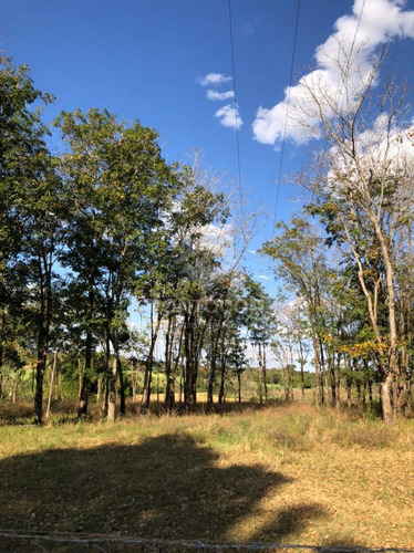 Imagem 6 de 12 de Excelente Fazenda - Poloni - 3841099v