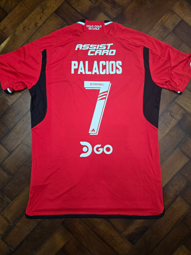 Camiseta Suplente Colo Colo 2023, Palacios 7 Talle L (Usado)