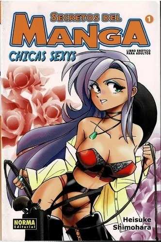 Secretos Del Manga Chicas Sexys - Heisuke Shimohara | MercadoLibre