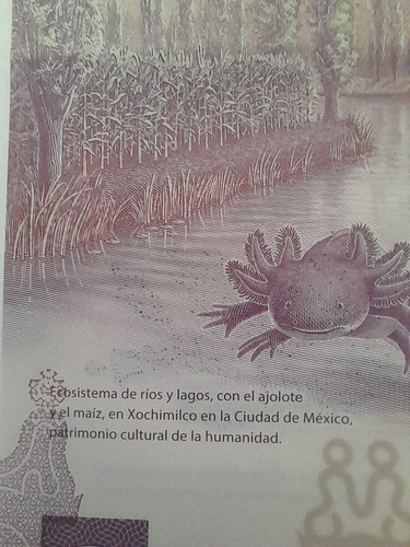 Billete 50 Pesos Mx Errores Tinta Simula Sombra Ajolote