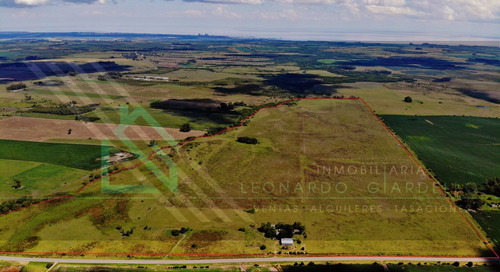 Campo Agrícola-ganadero, 137 Há En Colonia | Sobre Ruta 21