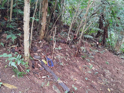 Imagem 7 de 8 de Terreno À Venda, 420 M² Por R$ 350.000,00 - Granja Viana - Carapicuíba/sp - Te0533