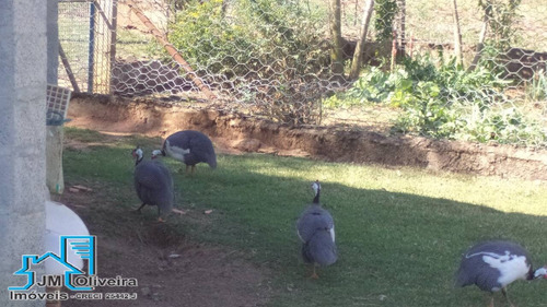 Imagem 5 de 15 de Vendo Chácara Bairro Paineira Pilar Do Sul Sp - 439