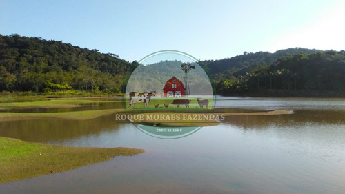 Imagem 7 de 19 de Fazenda À Venda Medindo 52 Alqueires Paulista No Vale Do Ribeira Sp