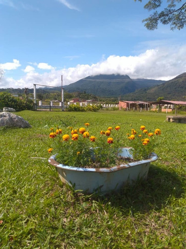 Imagen 12 de 14 de Granja En Santa Ana