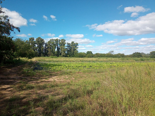 Venta Campo General Rodríguez Con Cochera