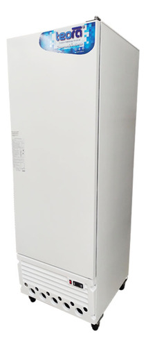 Freezer Vertical Teora Puerta Ciega Tev600 530 Lts
