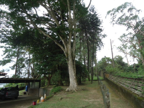 Imagem 2 de 30 de Mude Agora Mesmo! - Sp Capital - 64065