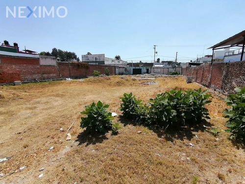 Imagen 5 de 5 de Terreno En Renta En La Colonia Bugambilias, Junto A La Laguna De San Baltazar, Puebla