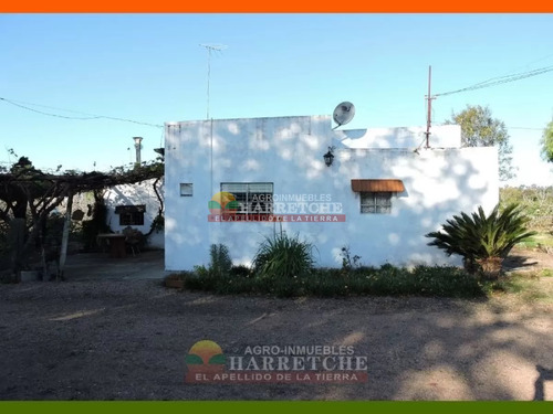 Venta De Terreno 8 Has A Metros De Ruta 5 , Canelones