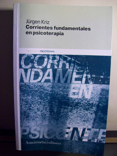 Adp Corrientes Fundamentales En Psicoterapia Jurgen Kriz