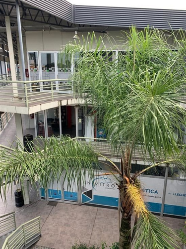 Oficina + Cochera Privada - P2 Venta - Verdi 57, Pilar, G.b.a. Zona Norte