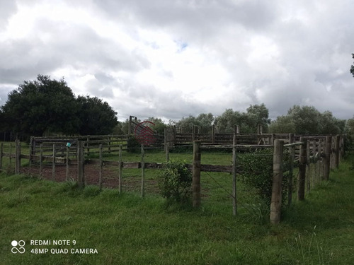 Imagen 8 de 25 de Venta De Campo, Maldonado.campo De 41 Hectáreas, Próximo A Pueblo Edén - Pueblo Eden