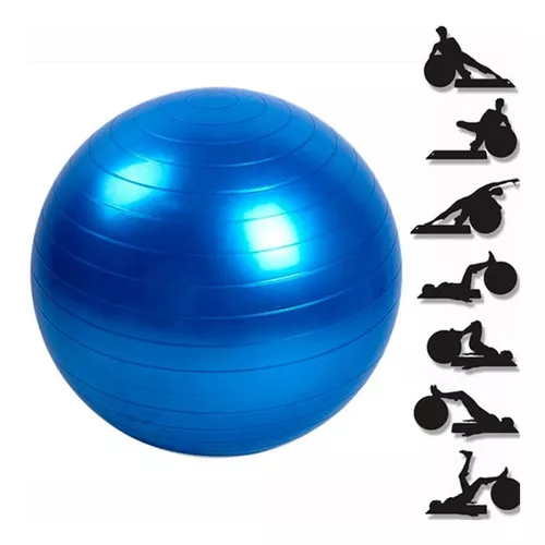 Bola Professional Gym Ball - 65cm Acompanha DVD com orientações para  exercícios e bomba para inflar.