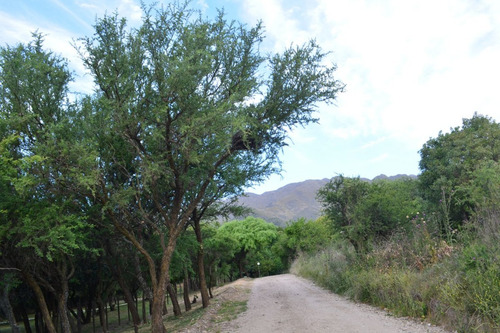 Imagen 10 de 14 de Lote De 6032m2 En Los Nogales En Villa De Merlo !