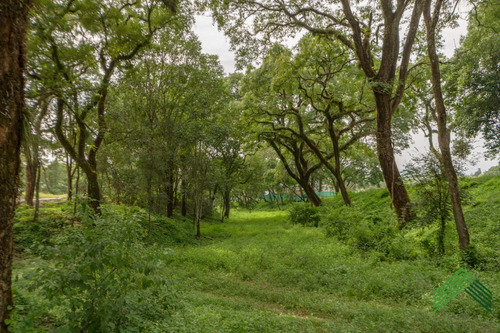 Imagen 17 de 25 de Vendo Terreno En El Retiro - San Lorenzo