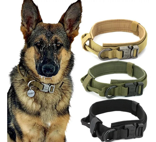 Collar Y Correa Táctico Perro Mascotas Adiestramiento K9