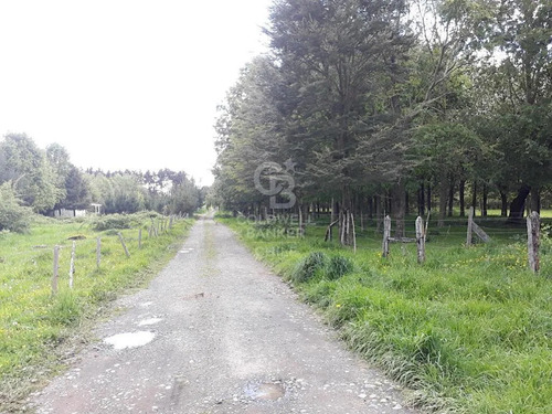 Maravillosas Parcelas En El Sur De Chile.