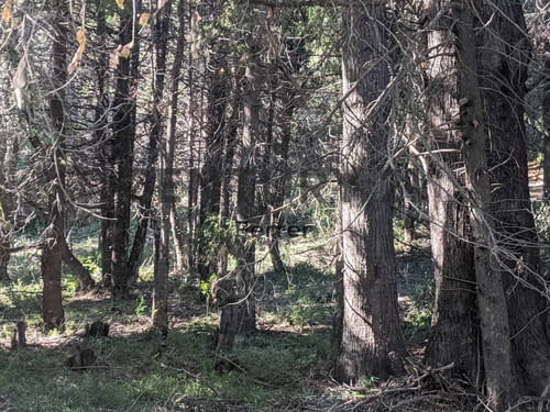 Imagen 14 de 15 de Lote En Venta - Bariloche - Zona Llao Llao - Id:15240