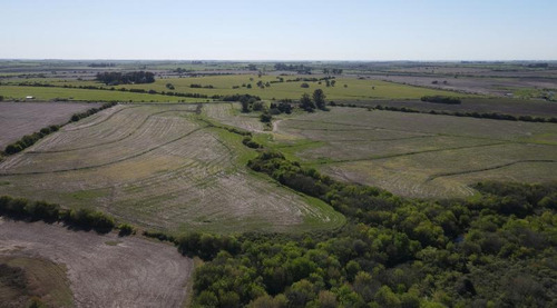 Imagen 7 de 16 de Antelo, Campo De 29 Has Sobre Asfalto, Sistematizado, Con Arroyo