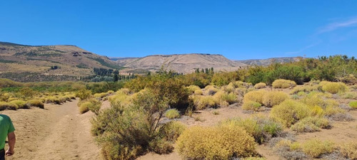 Venta Campo Aluminé