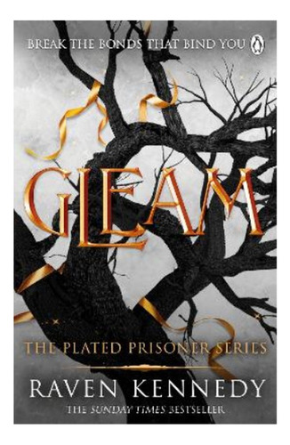 Gleam - The Dark Fantasy Tiktok Sensation Thats Sold O. Eb5