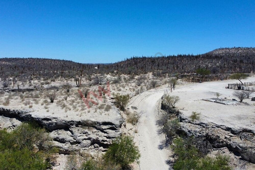 Terreno De 1,000 Ha En Km 97 Carretera A C.constitucion Con Ojo De Agua B.c.s.
