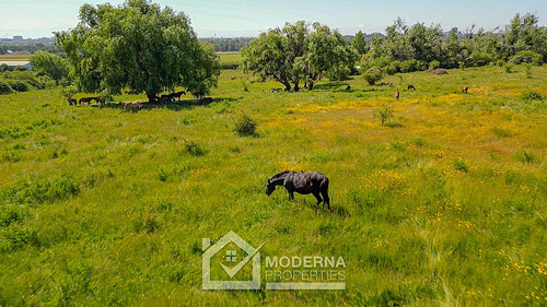 Terreno 13 Ha Para Proyecto Inmobiliario