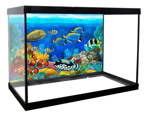 Adesivo Decorativo Vinilico Para Fundo De Aquario 50x100cm 