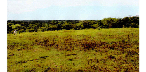 Venda De Fazenda Com Estrutura Completa Potencial Produtivo