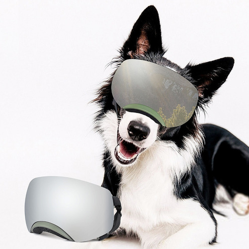 Lentes De Sol Grandes Con Protección Uv Para Perros