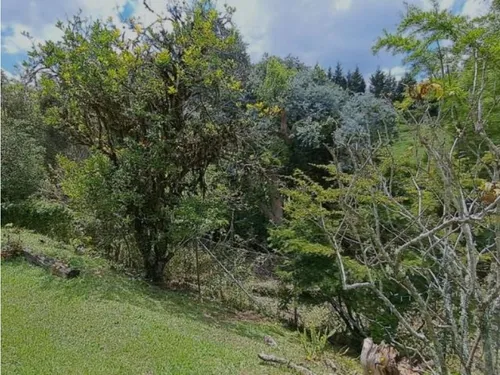 Finca Independiente En Rionegro(mls#242540)