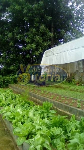 Imagem 9 de 21 de Chácara Para Venda No Bairro Dos Finco/ Vila Tupã, 3 Dorm, 6 Vagas, 100 M, 3982 M - 9851