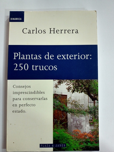 Plantas De Exterior: 250 Trucos