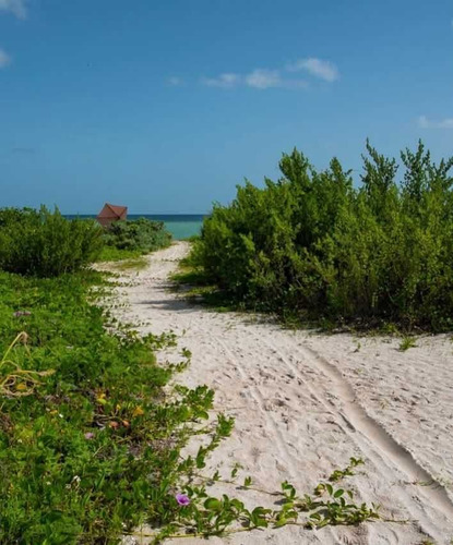 Casa En Venta En Chicxulub Progreso Segunda Fila