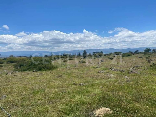 Imagen 24 de 24 de Se Vende Rancho En Hidalgo Para Inversionistas