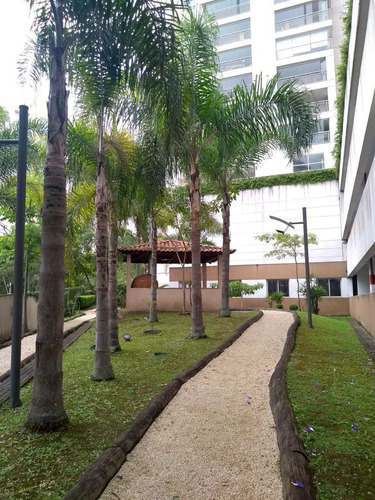 Imagem 13 de 14 de Lindo Apartamento Ótimo Custo Benefício