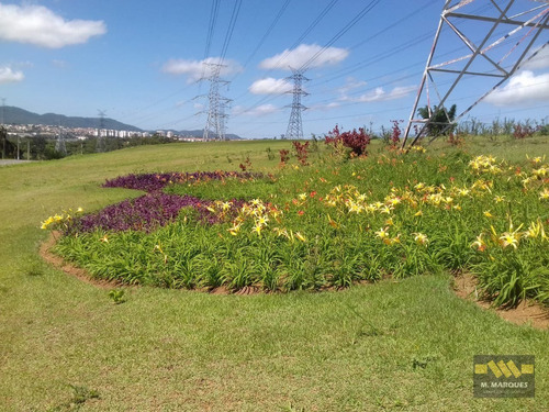 Imagem 14 de 14 de Terreno Em Real Park Vila Oliveira - Mogi Das Cruzes, Sp - 3723