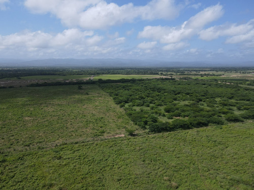 Imagen 8 de 30 de Finca En Venta Aguadagrande, Siquisique Cod. 23-7859
