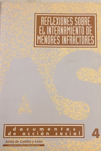 Libro Reflexiones Sobre El Internamiento De Menores Infracto