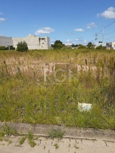 Terreno Em Aberta Dos Morros - Mi270539